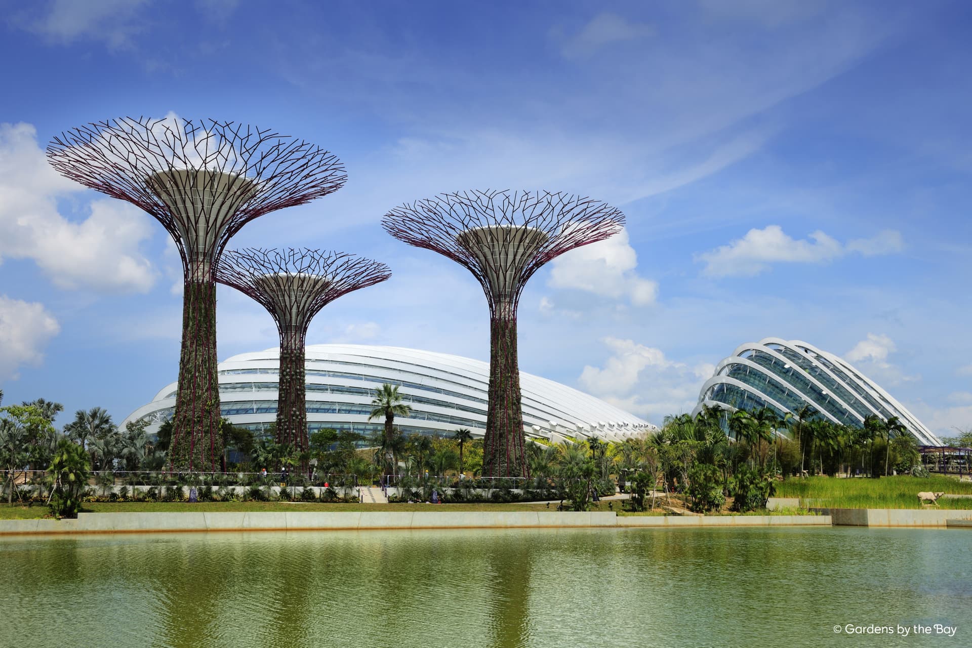 Gardens by the Bay Ticket - image 14